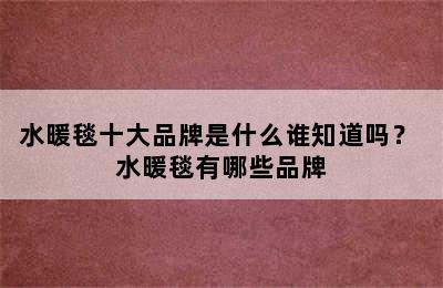 水暖毯十大品牌是什么谁知道吗？ 水暖毯有哪些品牌